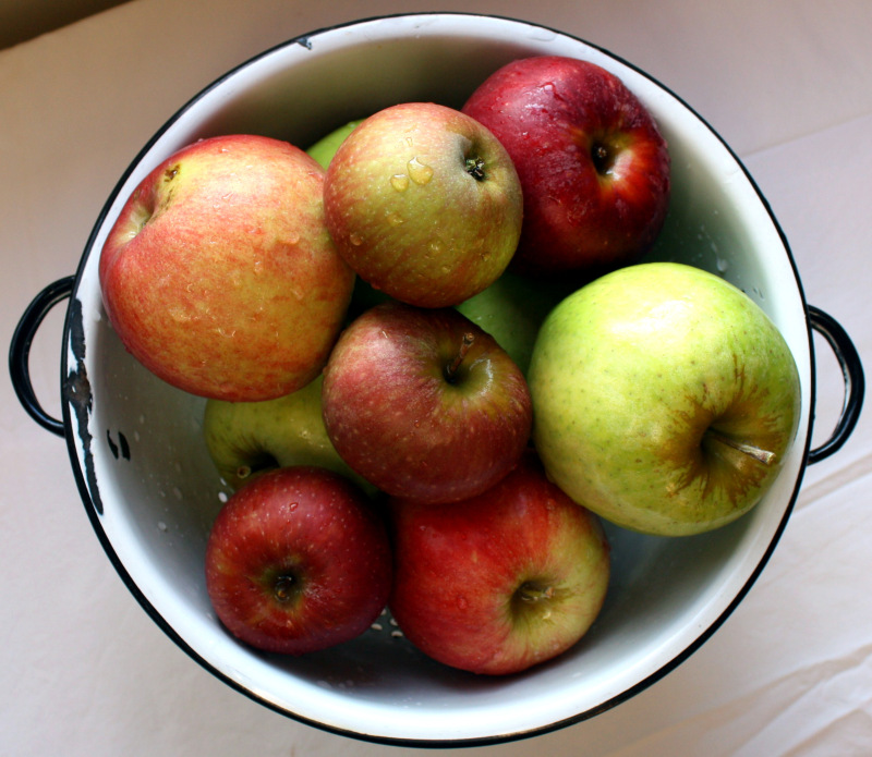 The Beauty of Motherhood