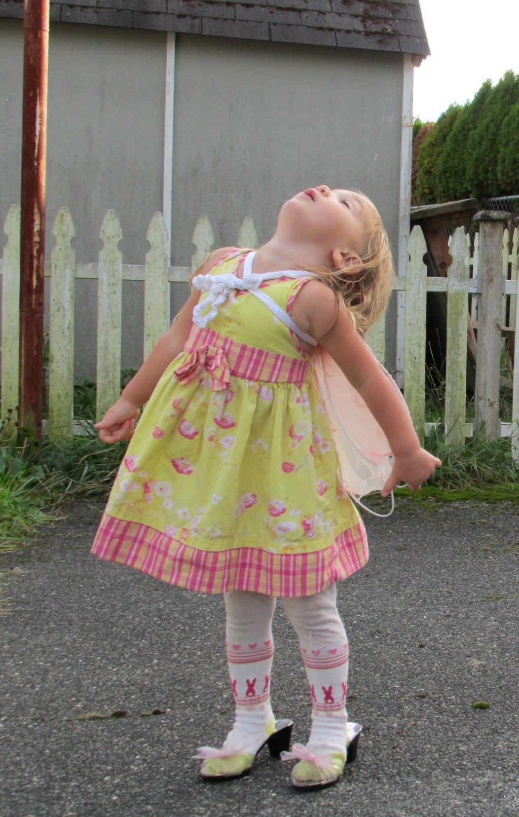 Life Lessons from a 2 Year-Old